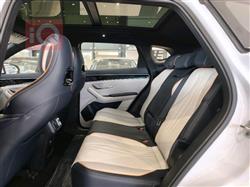 بي واي دي سونغ بلس